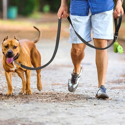 Cat Dog Harness Lead Reflective Leash Rope Pet Walking Training Strap 1.2–1.8M