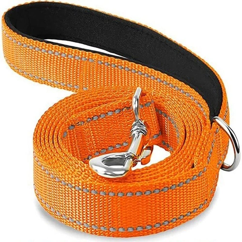 Cat Dog Harness Lead Reflective Leash Rope Pet Walking Training Strap 1.2–1.8M