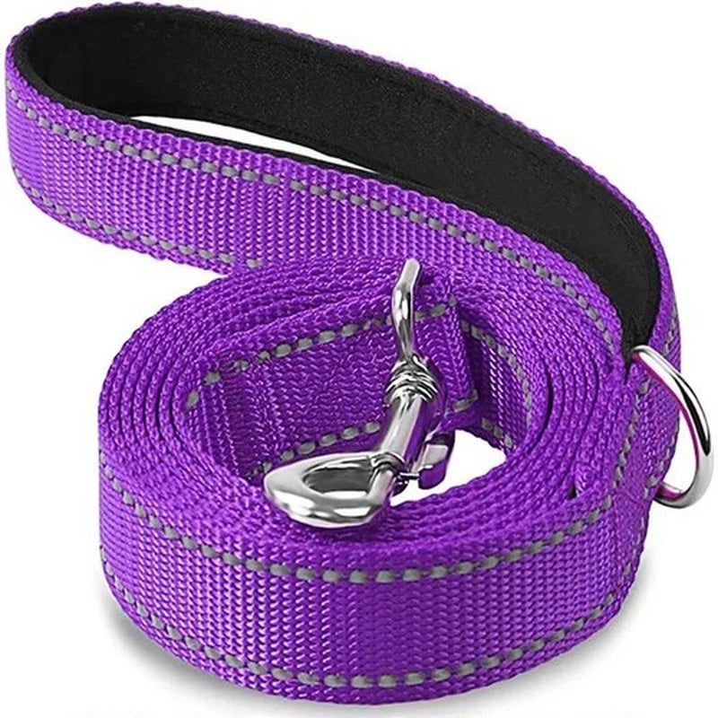 Cat Dog Harness Lead Reflective Leash Rope Pet Walking Training Strap 1.2–1.8M