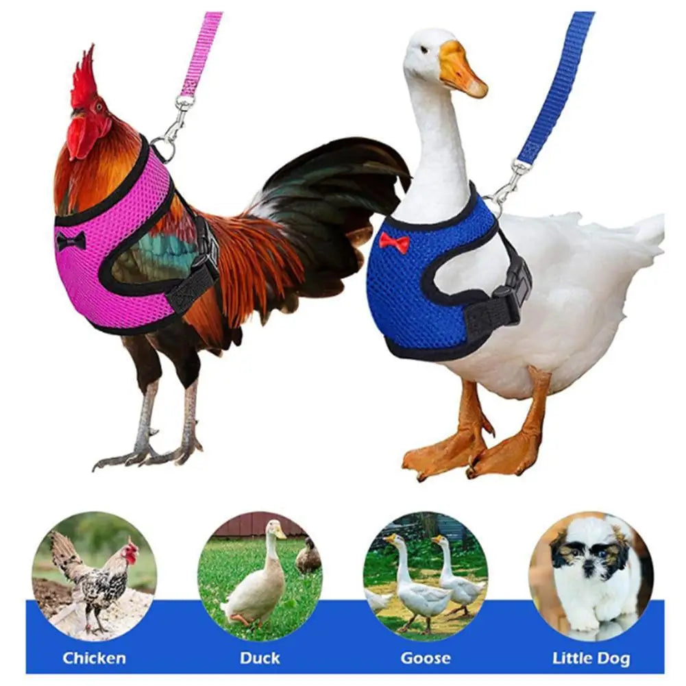 Poultry Training Harness, Pet Leash, Pet Chicken and Duck Leash, Breathable Chicken Breast Harness