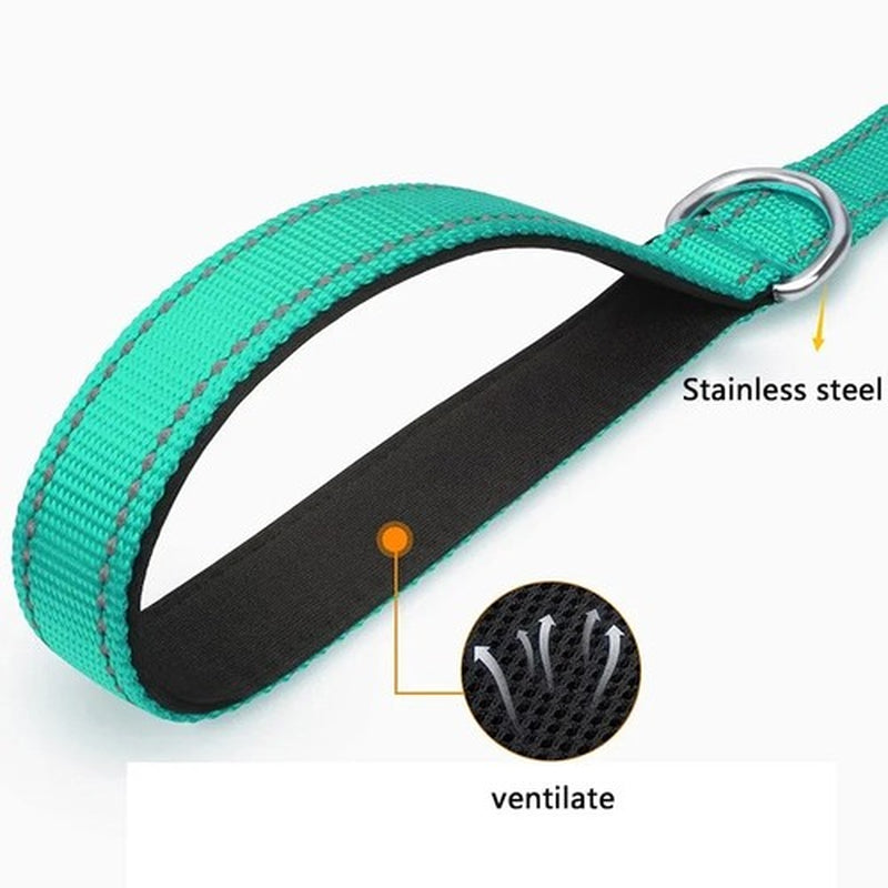 Cat Dog Harness Lead Reflective Leash Rope Pet Walking Training Strap 1.2–1.8M