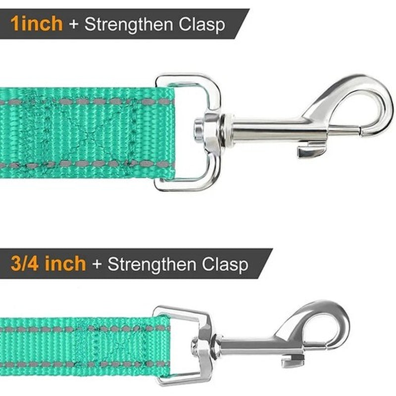 Cat Dog Harness Lead Reflective Leash Rope Pet Walking Training Strap 1.2–1.8M