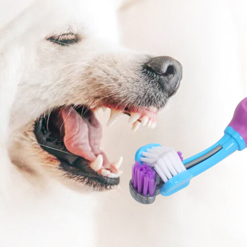 3 Sided Dog Toothbrush Teeth Cleaning Tartar Remover Pet Oral Care Groom Tool AU