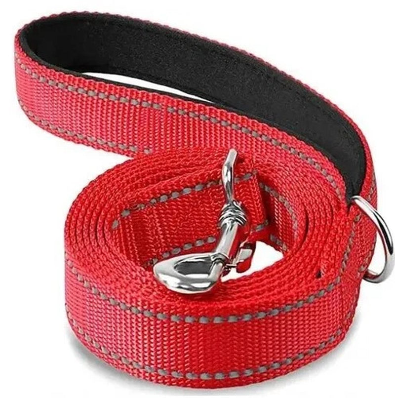 Cat Dog Harness Lead Reflective Leash Rope Pet Walking Training Strap 1.2–1.8M