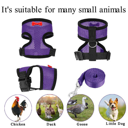 Poultry Training Harness, Pet Leash, Pet Chicken and Duck Leash, Breathable Chicken Breast Harness