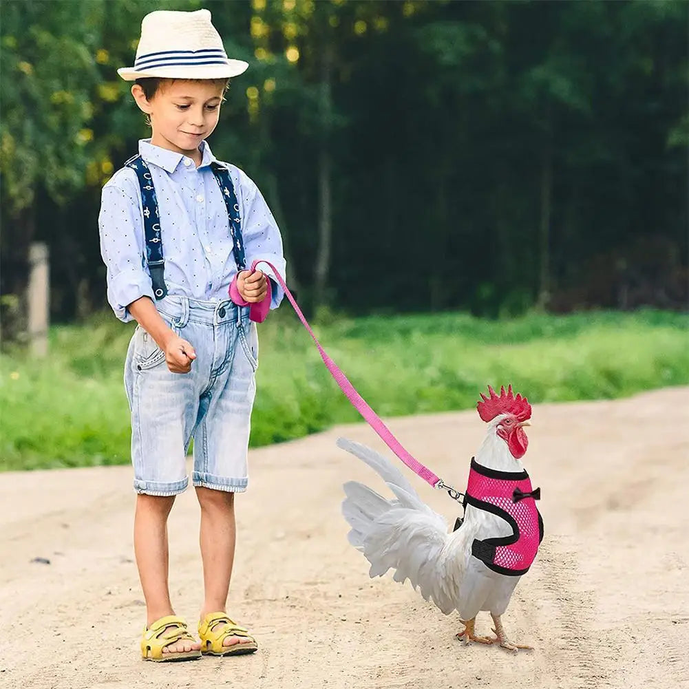 Poultry Training Harness, Pet Leash, Pet Chicken and Duck Leash, Breathable Chicken Breast Harness