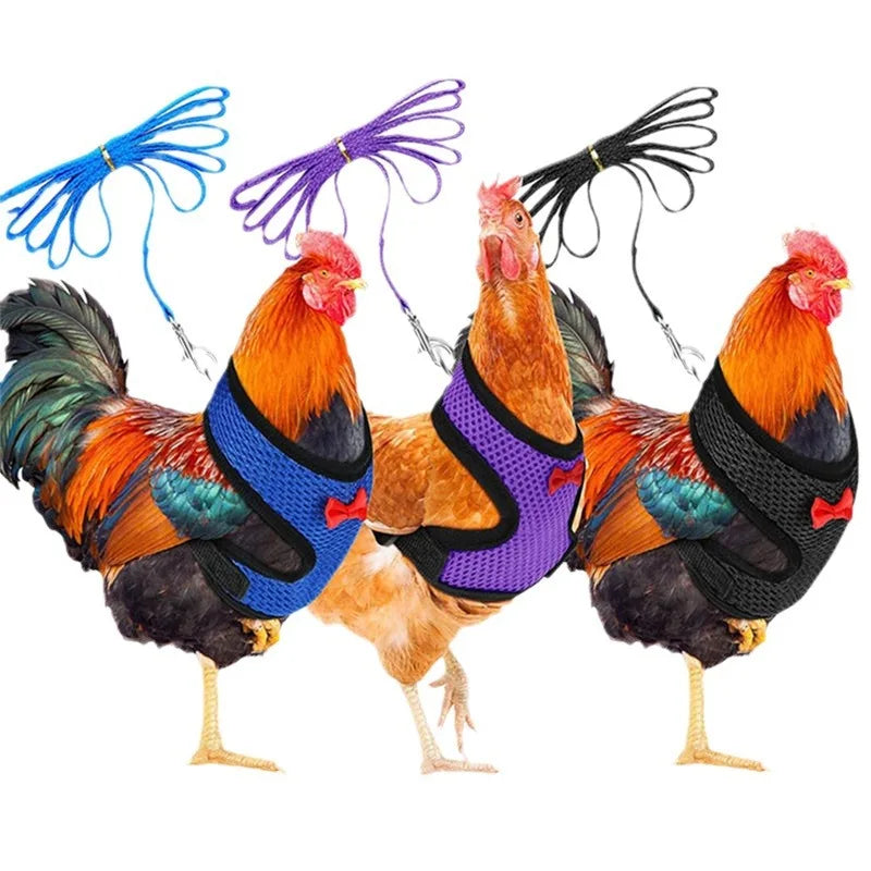 Poultry Training Harness, Pet Leash, Pet Chicken and Duck Leash, Breathable Chicken Breast Harness