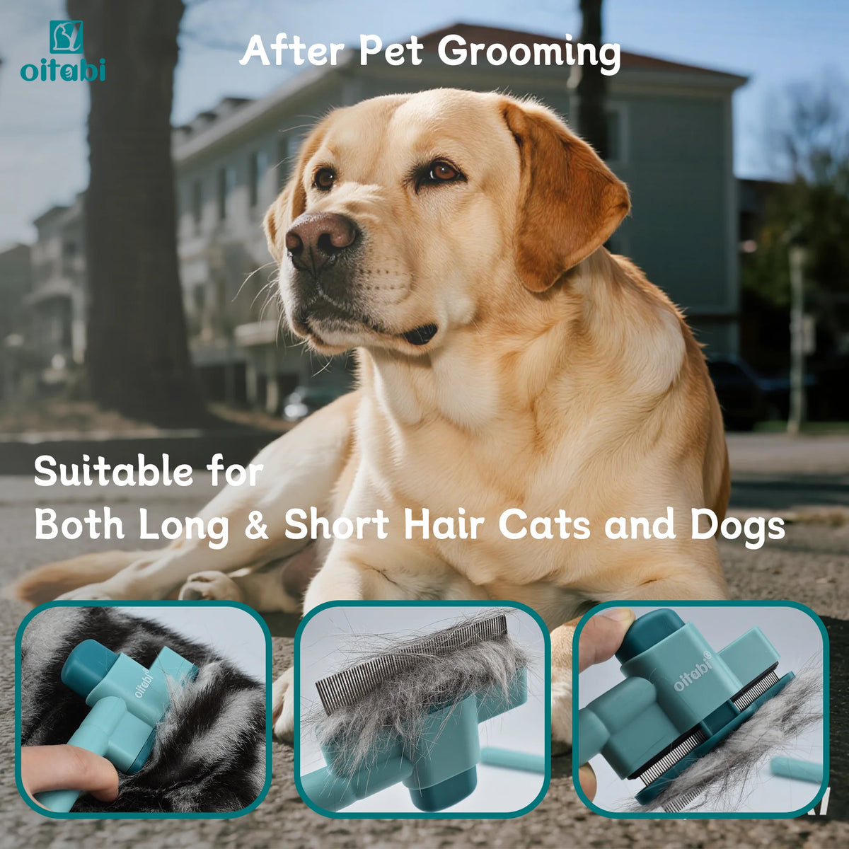 1/2PCS Flea Comb for Dogs and Cats with Release Button Fine Tooth Dog Comb for Pet Hair Removal, Cleaning Remove Fleas Eg